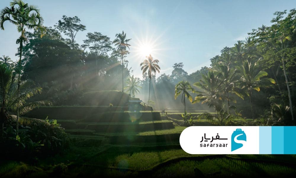 درباره ابود