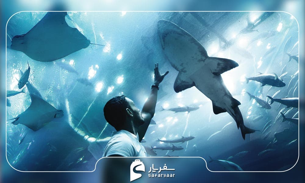 جاذبه های دیدنی اطراف آبنمای دبی