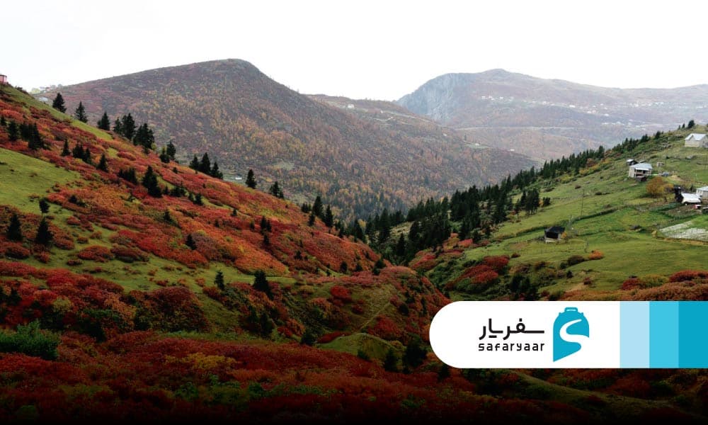 پاییز: رنگ ها و آرامش طبیعت