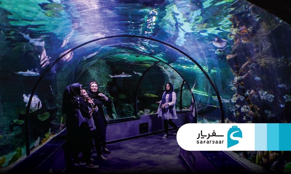 بخش‌های مختلف آکواریوم کیش