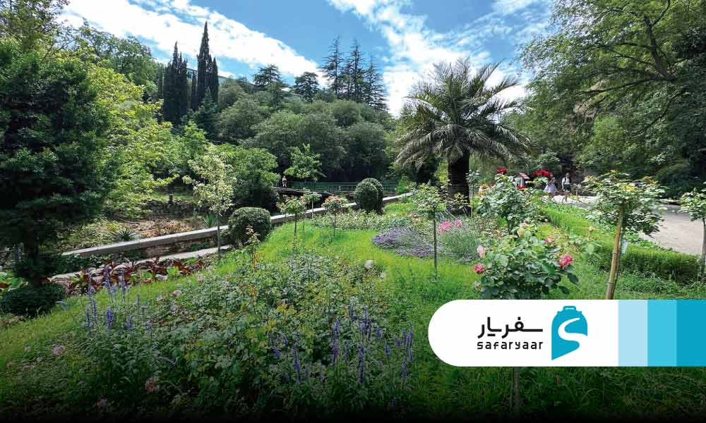 تاریخچه باغ گیاه شناسی تفلیس