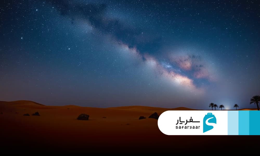 سافاری شبانه و تماشای حیوانات صحرایی