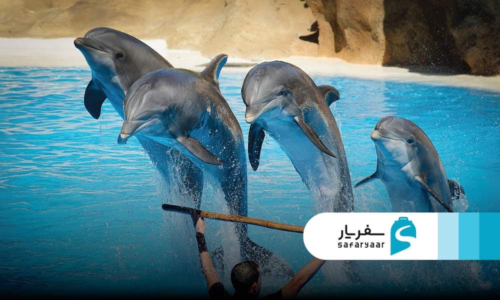 جاهای دیدنی نزدیک به پارک ساحلی سیمرغ