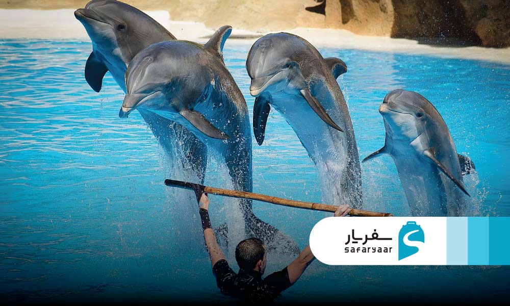 جاهای دیدنی نزدیک آکواریوم در جزیره کیش