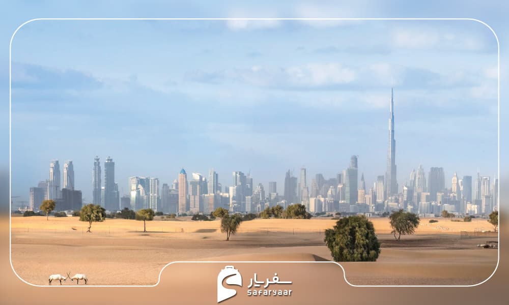 سفر به دبی در پاییز