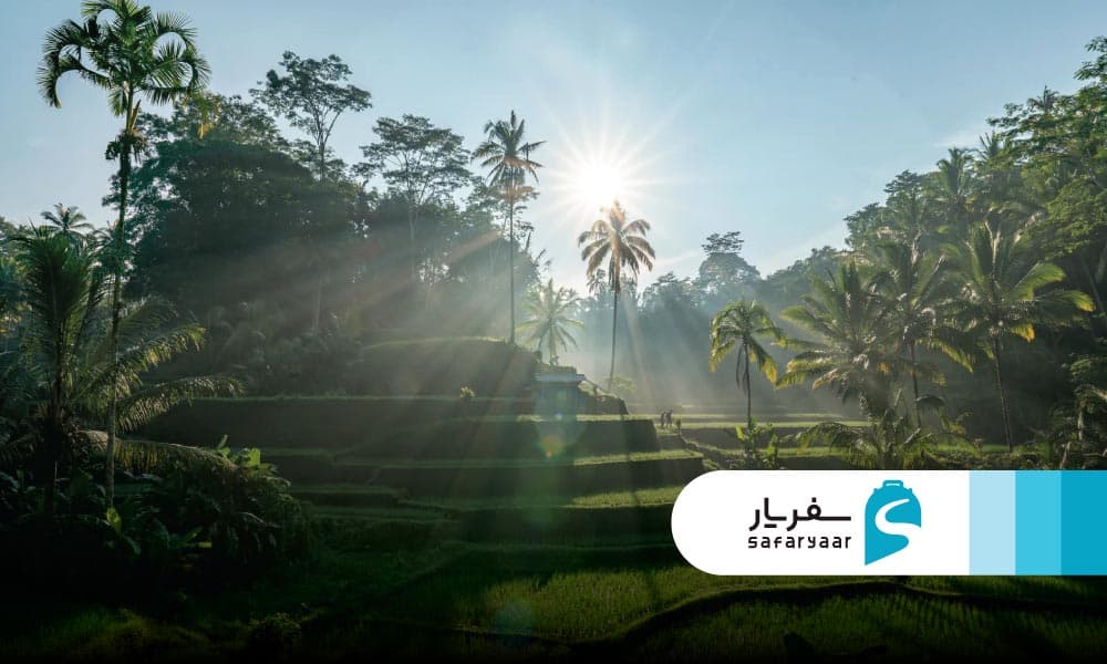 جاذبه های اوبود