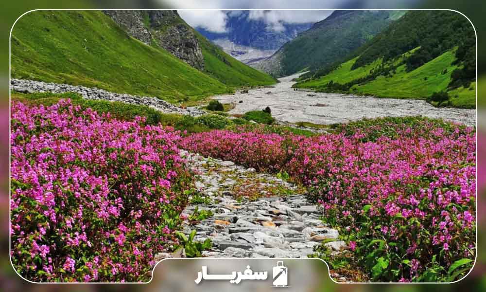 دره گل‌ها، اوتاراکند