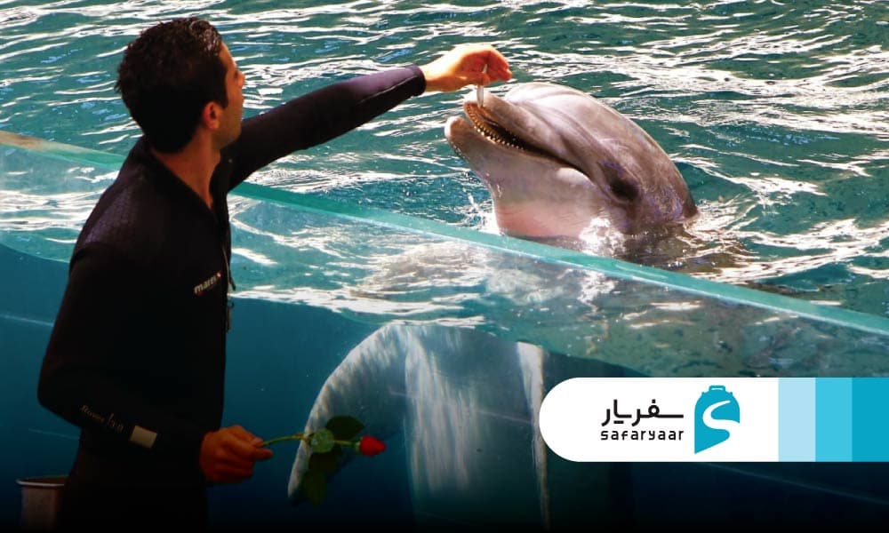 بازدید از آکواریوم کیش