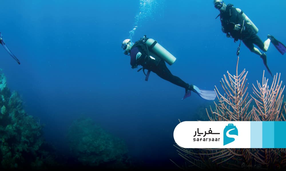 بهترین زمان برای غواصی در کیش