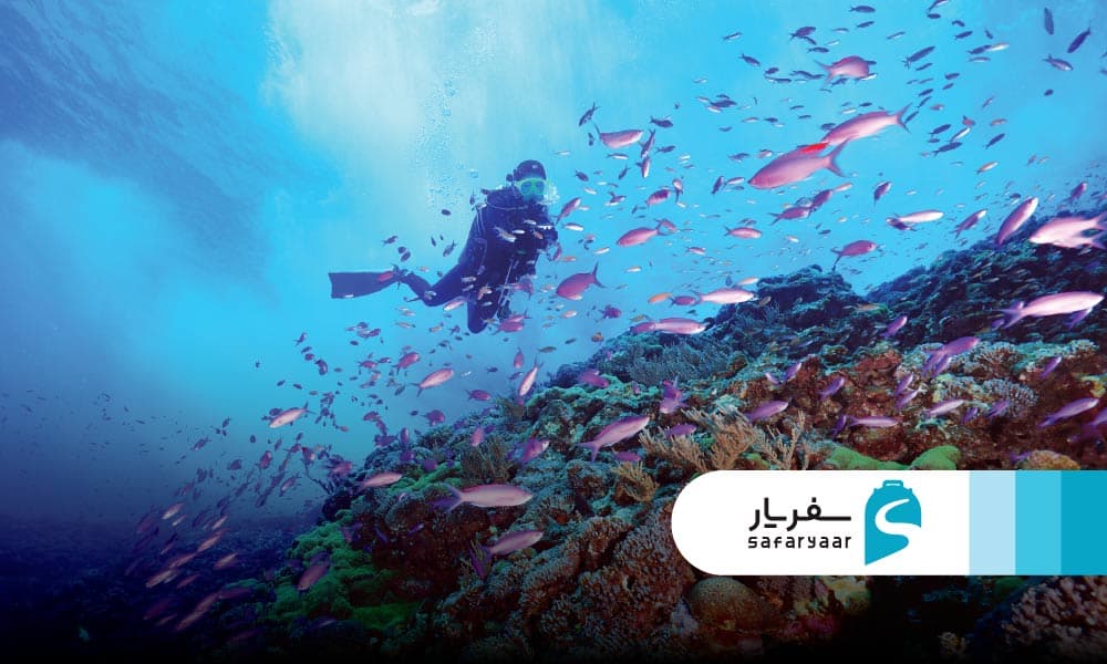 تأثیرات مثبت غواصی بر گردشگری