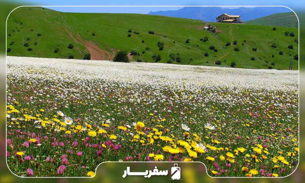 جنگل فندقلو