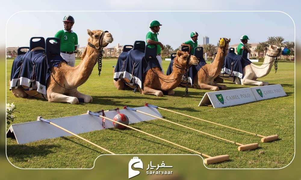 چوگان با شتر یا کَمِل پولو