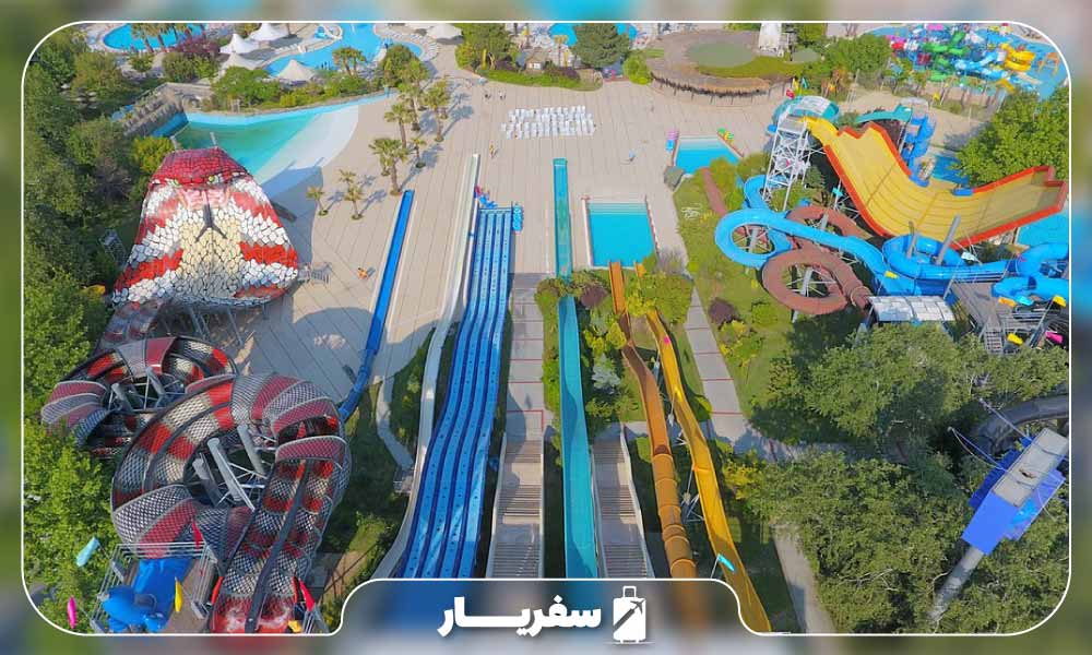 کلاب دلفین استانبول