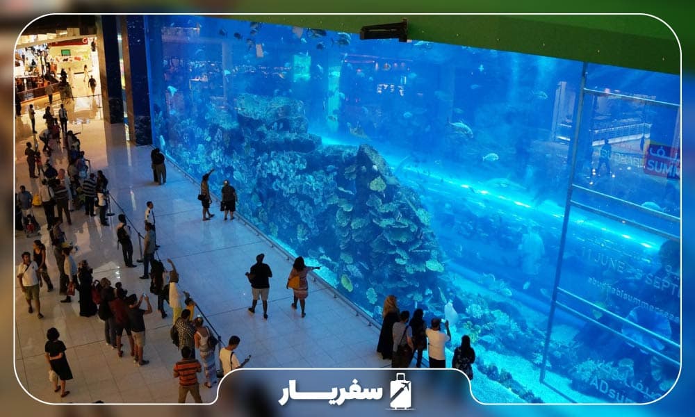 شرایط بازدید از آکواریوم دبی