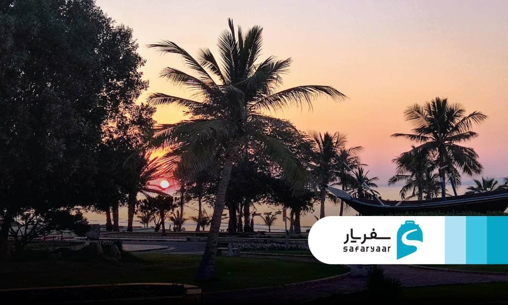 اطلاعات تماس و ساعات کاری پارک زیتون