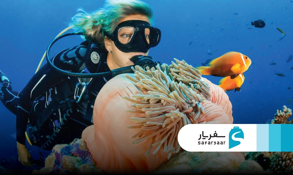 غواصی و اسنورکلینگ