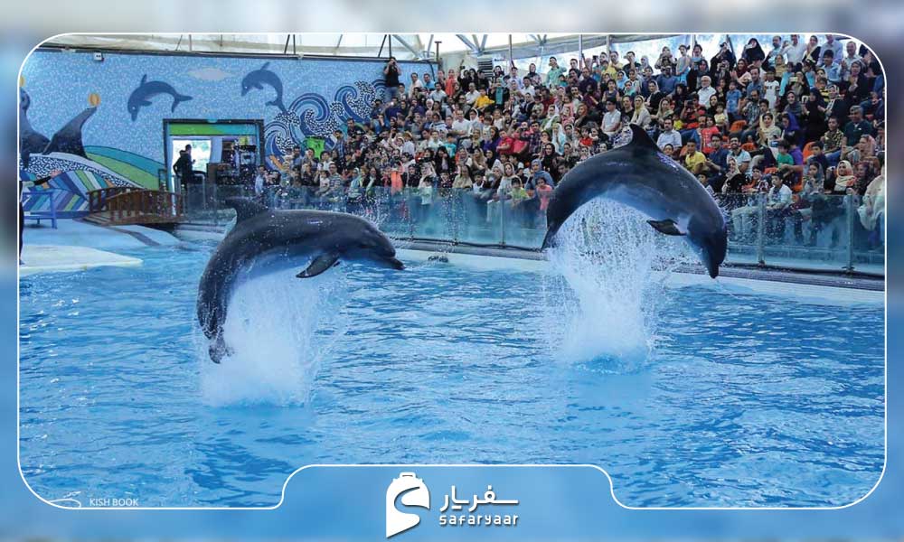پارک دلفینها