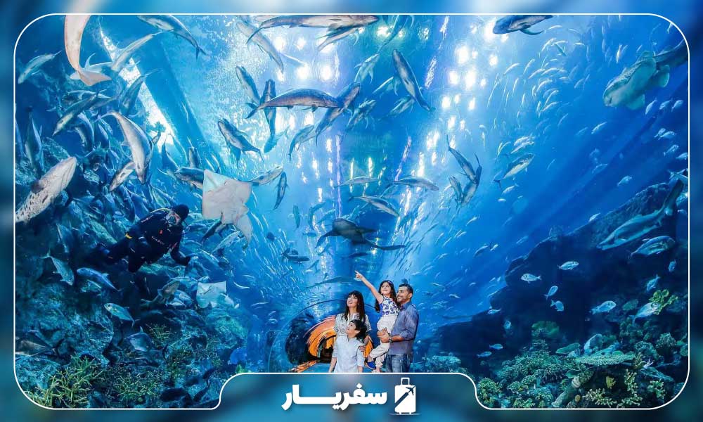 آکواریوم دبی