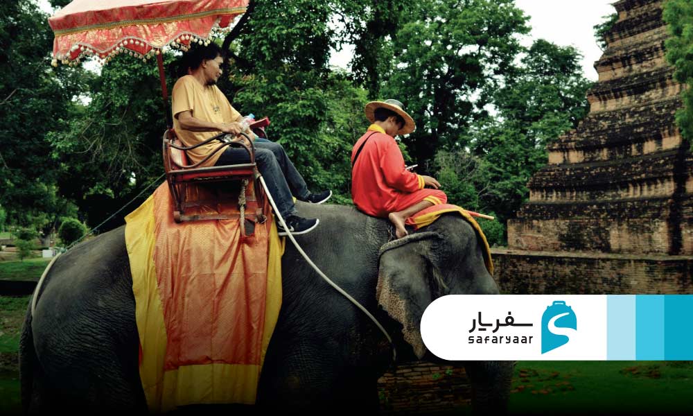 ایمنی در فیل سواری: نکات مهم برای گردشگران