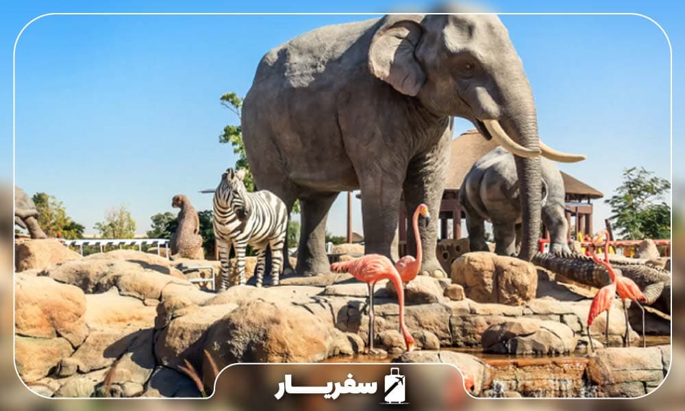 میدان پرندگان شکاری