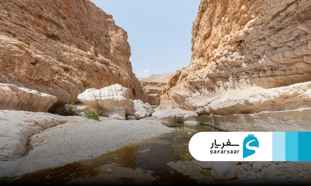 پیاده روی در طبیعت بکر و مسیرهای کوهستانی