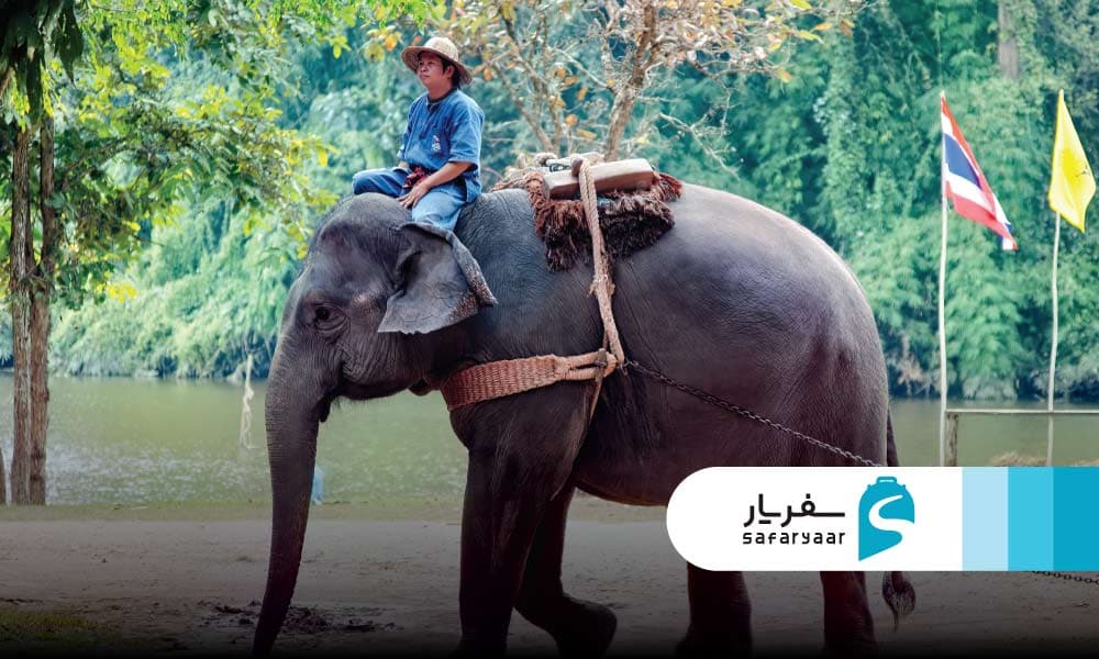 تاریخچه فیل سواری در تایلند