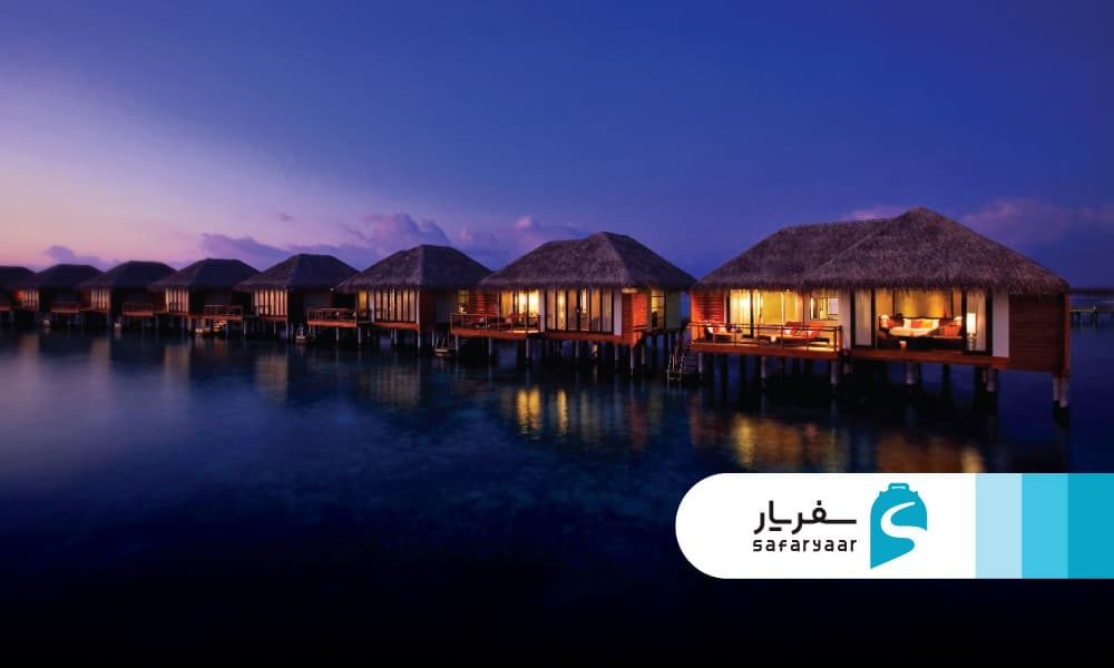 برنامه های شبانه