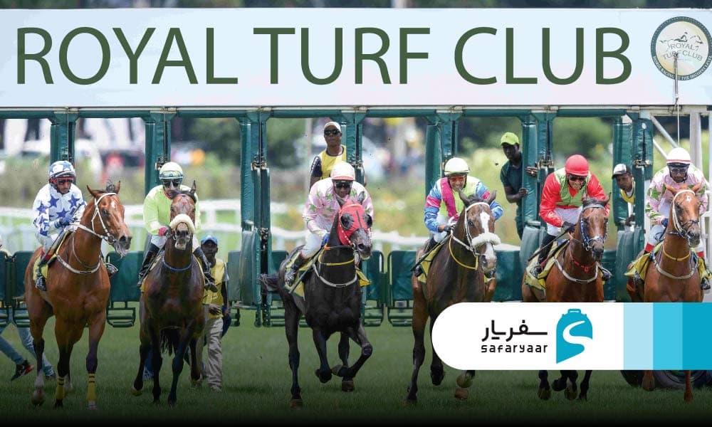 فستیوال ها و رویدادهای نووارا الیا