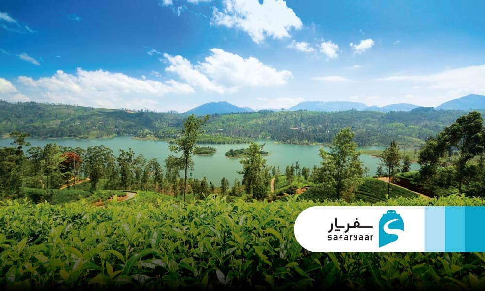 آب و هوای نووارا الیا در طول سال