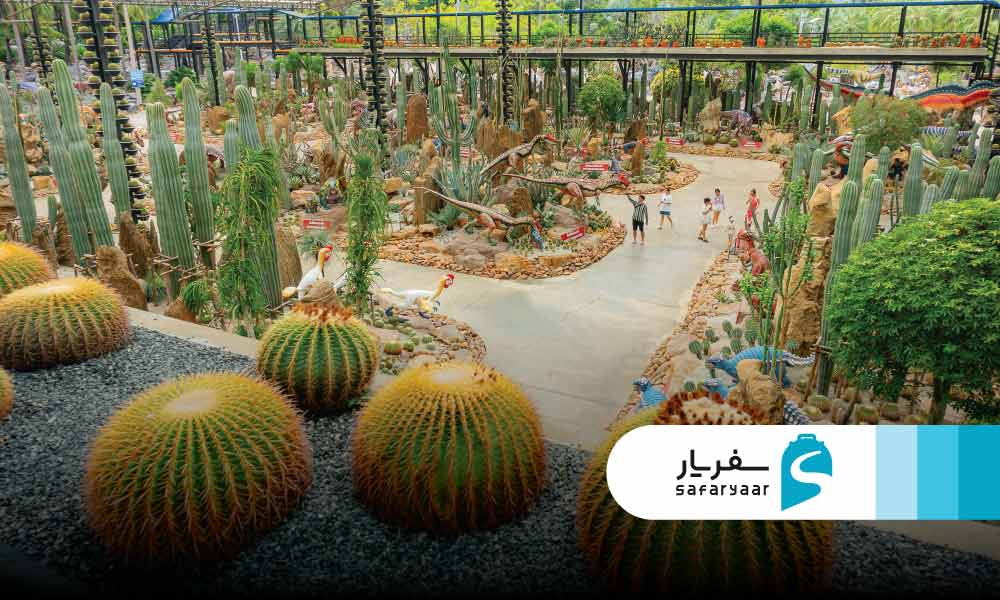 باغ سانسوریا و باغ کاکتوس