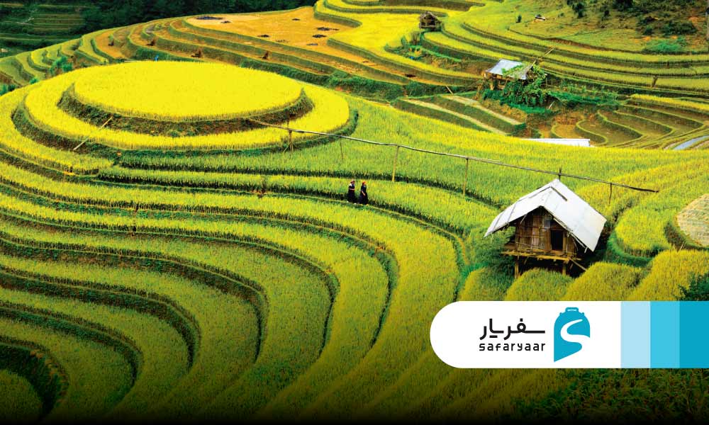 شالیزارهای پلکانی ساپا