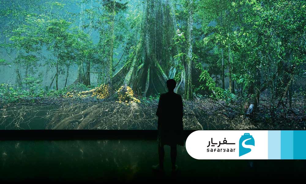 طبقه دوم: بدن و طبیعت انسان