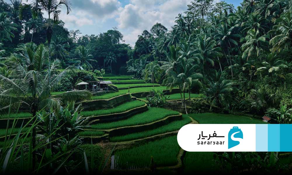 سفر به بالی در هر فصل، تجربه ای متفاوت