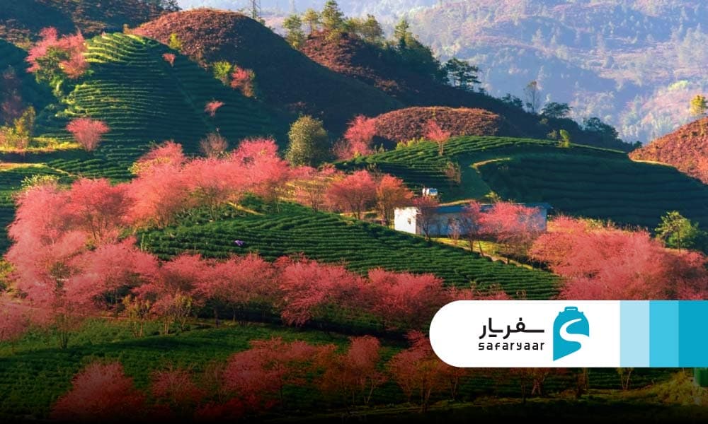 آب و هوای ویتنام در فصل بهار