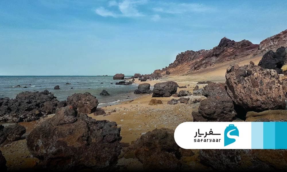 بازدید از پارک زیتون قشم