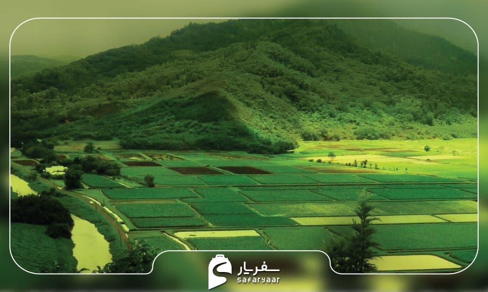 فومن شهر زیباییهای طبیعی و چشم نواز